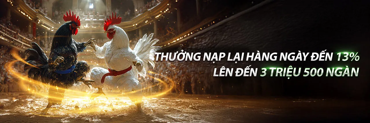 Sodo14 Win Đá Gà Trực Tuyến