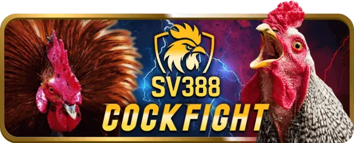 Hỗ trợ trực tuyến 24/7 sodo14 win